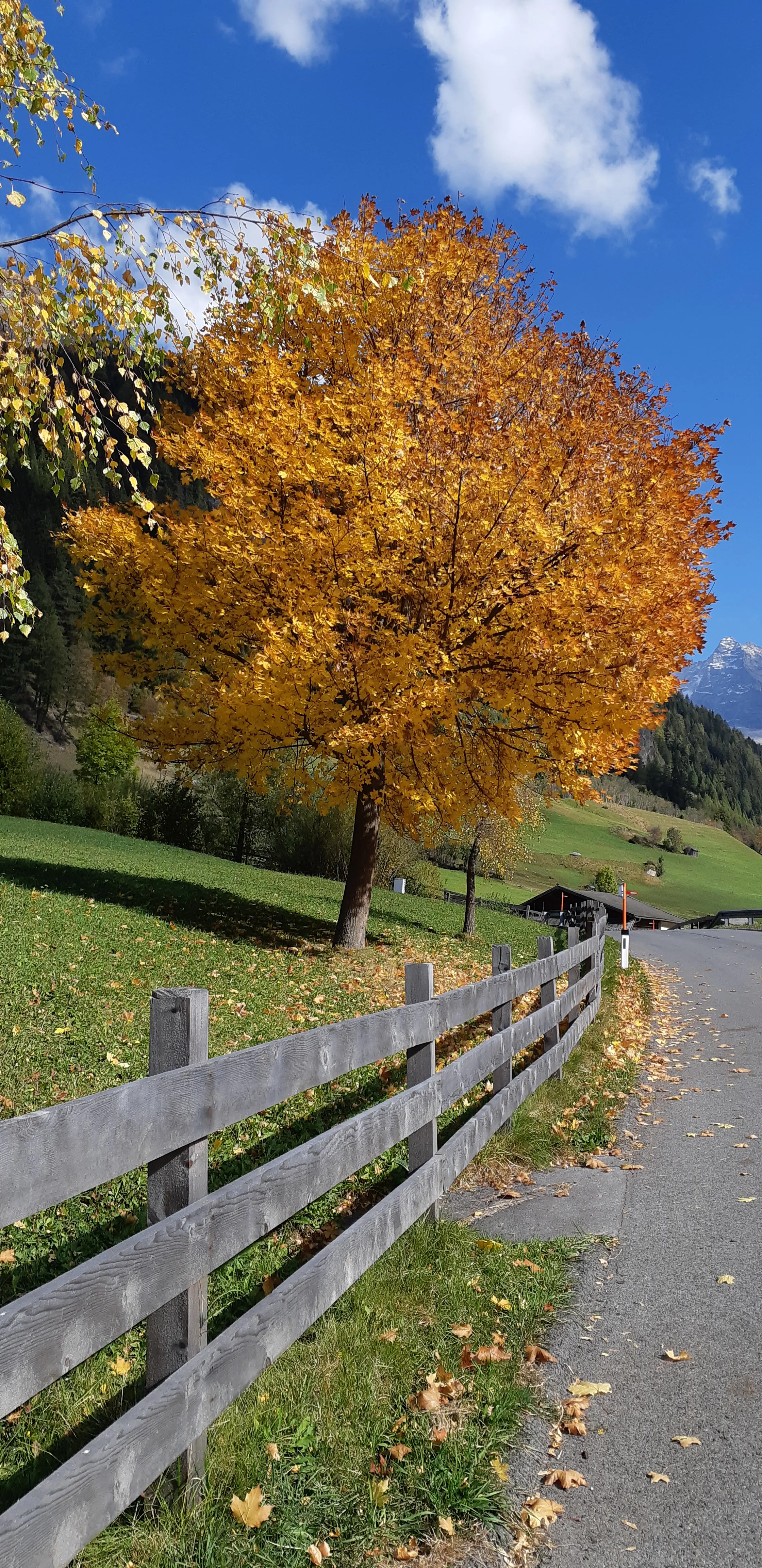 Herbst in Vals