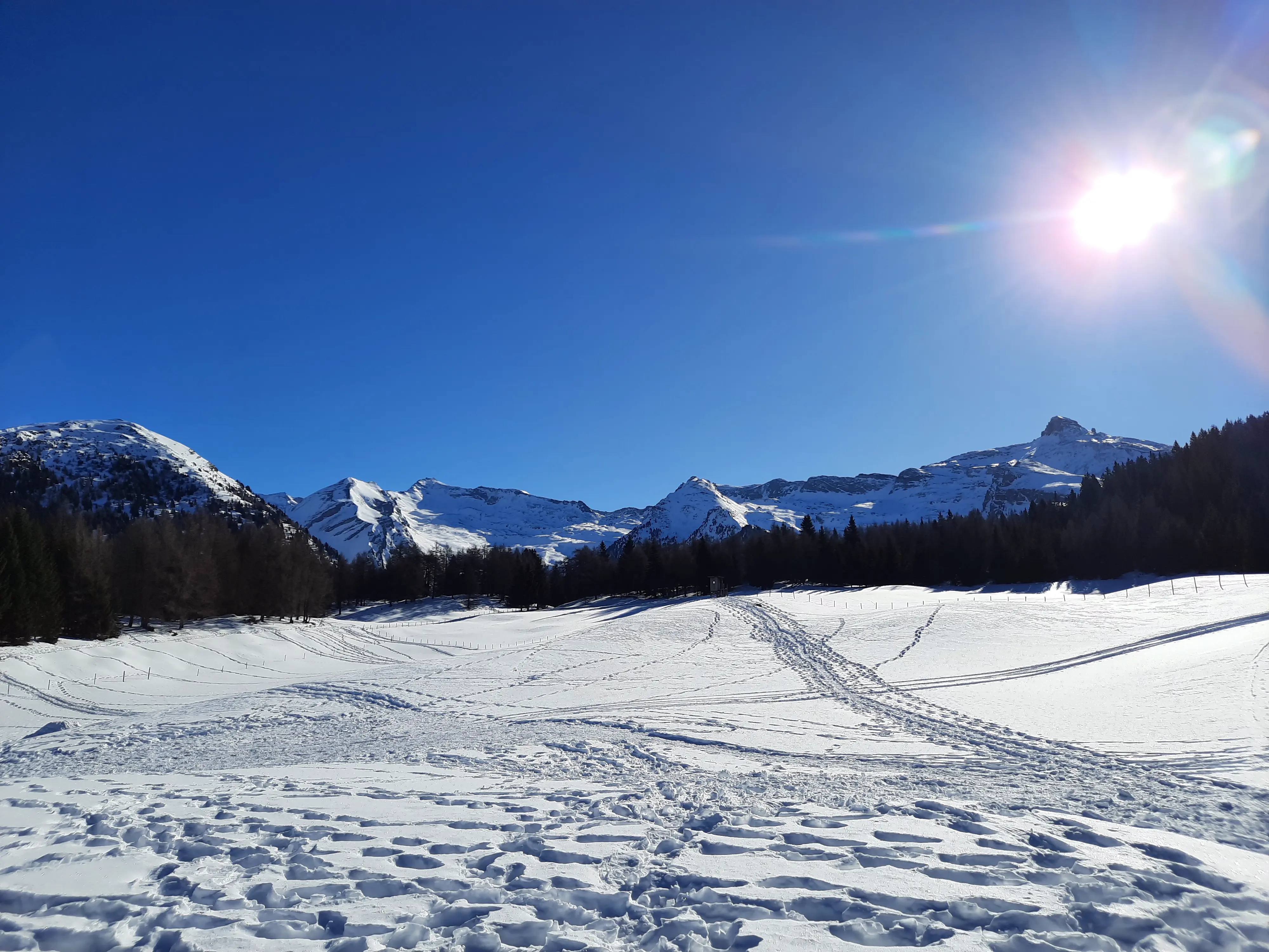 Auf diesem winterlichen Foto auf der Wiese hinter der Sattelbergalm sieht man das verschneite Berpanorama um den Padauner Kogel, Padauner Berg, Vennspitze und noch einigen weiteren Gipfeln. 